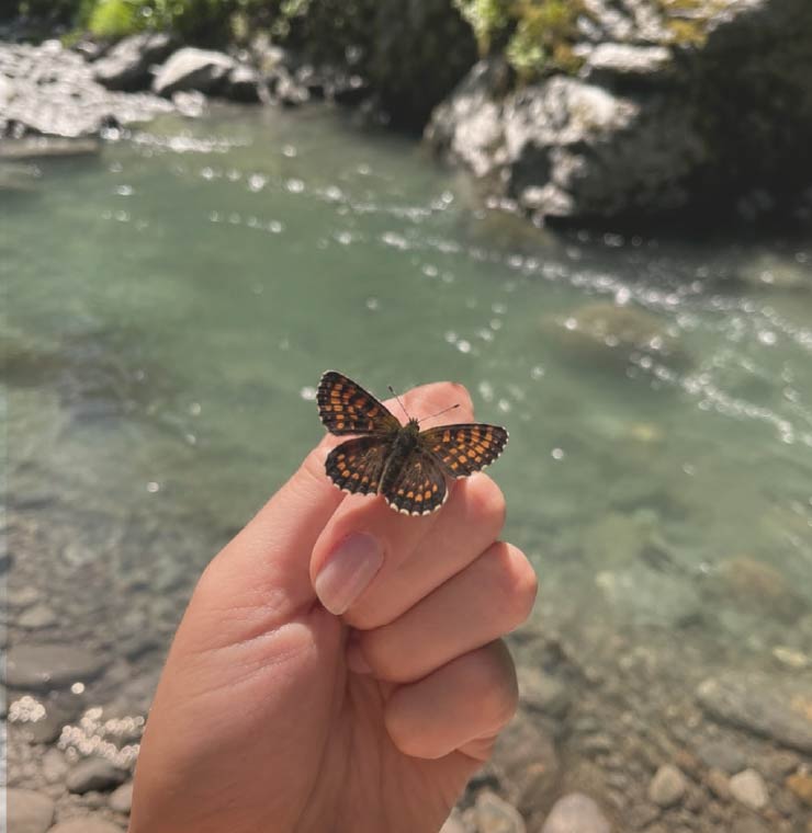 Mariposa posada en una mano junto al agua, símbolo de la transformación y la delicadeza en el proceso de duelo
