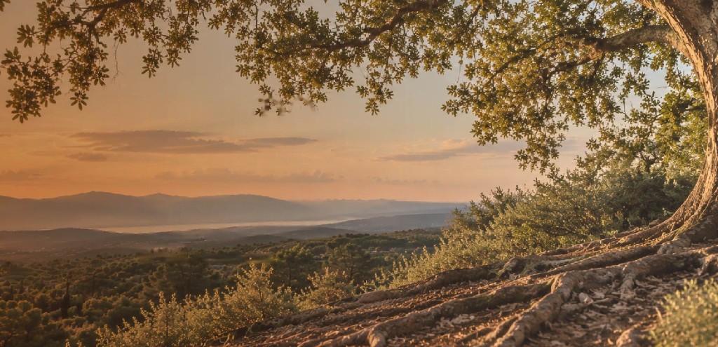 Paisaje al atardecer, retiro presencial Eligiendo la liberación definitiva