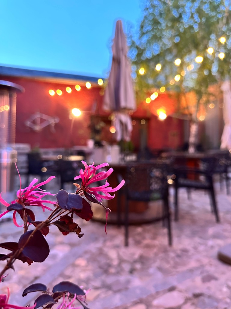 Patio del Ciclo Lodge al anochecer con iluminación cálida