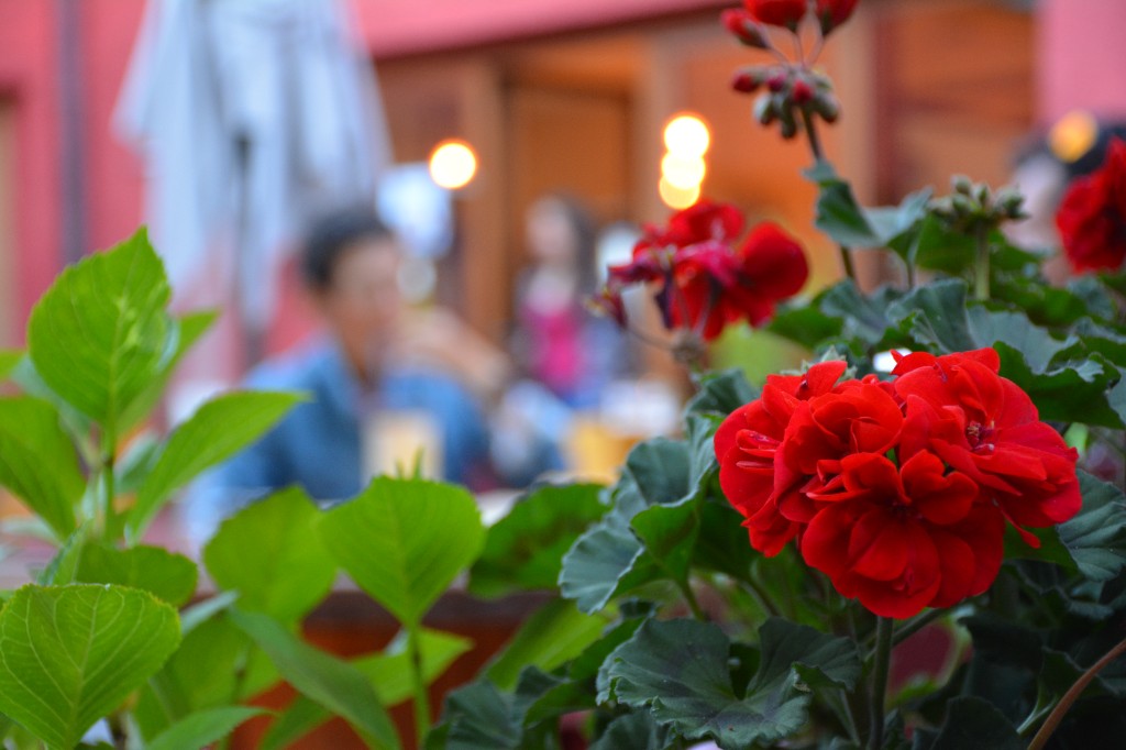 Terraza del Ciclo Lodge con flores y ambiente acogedor
